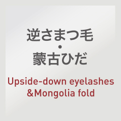 逆さまつ毛・蒙古ひだ：Upside-down eyelashes & Mongolia fold