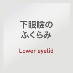 下眼瞼のふくらみ：Lower eyelid